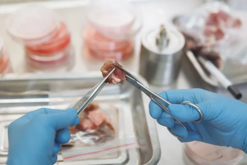 Snake Oil and Science Share a Zip Code: A Field Guide to Judging Regenerative Clinics Abroad